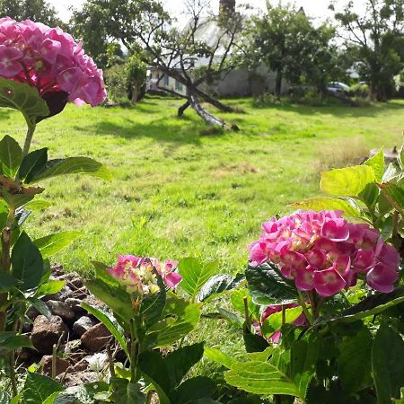Terre De Reveries Maisoncelles-la-Jourdan Ngoại thất bức ảnh