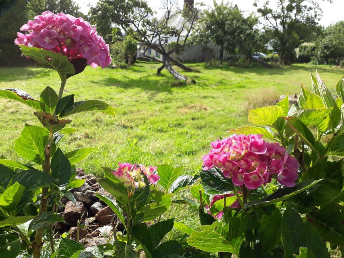 Terre De Reveries Maisoncelles-la-Jourdan Ngoại thất bức ảnh